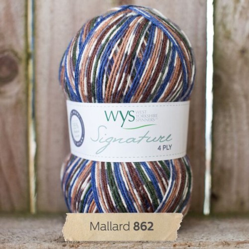 West Yorkshire Spinners Signature 4 Ply - Blue Tit (818)